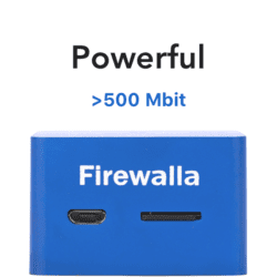 Firewalla Blue: Protecting Your Business